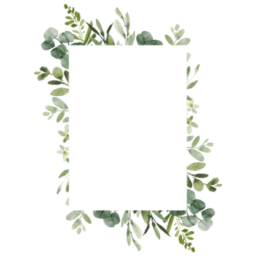 frame